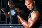 bicep curl